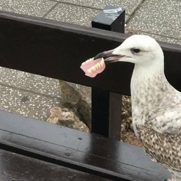 Meet your Posher, Ashley! - Picture 3 of 3